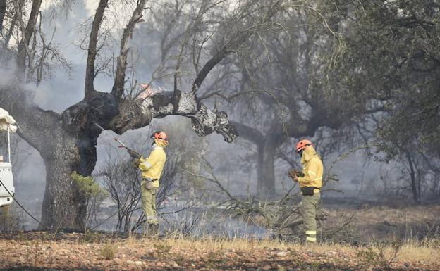 Los bomberos tratan de sofocar el incendio en Tres Arroyos.
