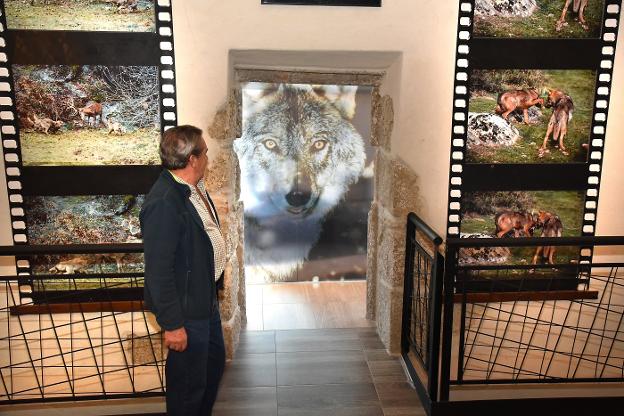 Una de las estancias del centro de recepción de visitantes El Lobo, nombre oficial del lugar. :: palma/