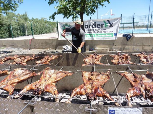 Asado de corderos de la Denominación de Origen Corderex. :: HOY/