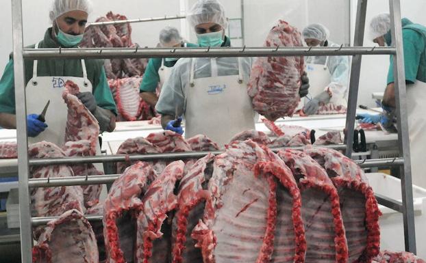 Despiece de porcino ibérico en las instalaciones de Señorío de Montanera en Salvaleón/Brígido Fernández