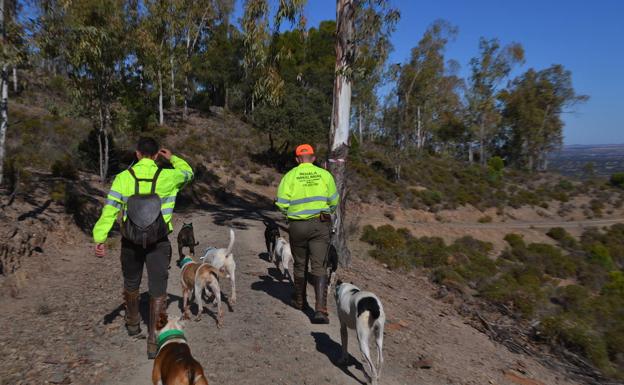 Uno de los remakes participantes.