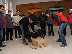 Los alumnos observan un ejercicio en el que participan Juan Miguel Tadeo y Dolores Suárez.|CASIMIRO MORENO/