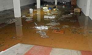 La tormenta inundó garajes y viviendas::RAMÓN GATO/