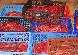 La crisis dispara la caza furtiva en busca de carne para vender