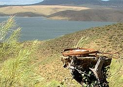 Utilizaban cepos para cazar especies protegidas en Peñalsordo