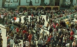 El sábado se celebra en Llerena la matanza y la feria del embutido con 20 expositores