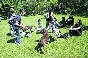 Concentración de mascotas en el Parque del Príncipe