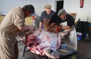 Matanza en una finca extremeña. :: HOY/