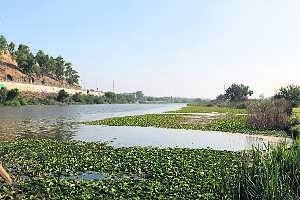 En la zona de El Pico se han localizado tres de las cuatro pruebas realizadas en el río. :: HOY/