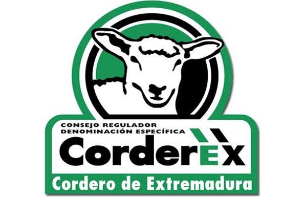 Corderex/CEDIDA
