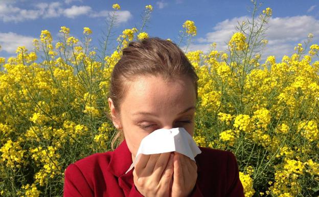 Una persona estornuda a causa de la alergia /