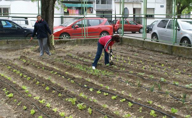 Fomentan la agricultura ecológica a través de un taller