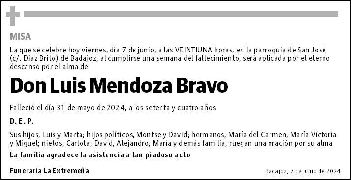 Luis Mendoza Bravo