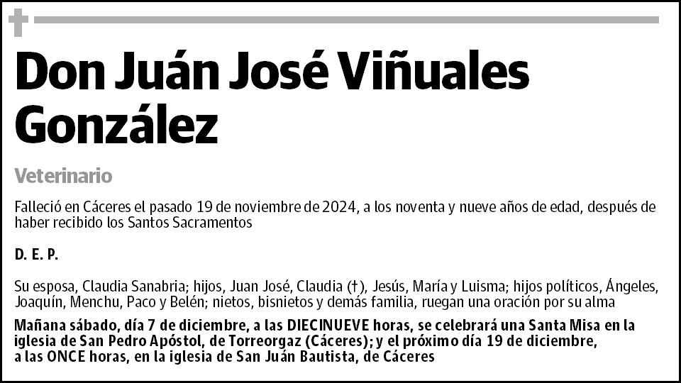Juán José Viñuales González