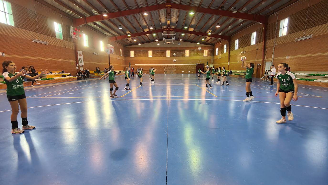 Voleibol Infantil - FD Mérida