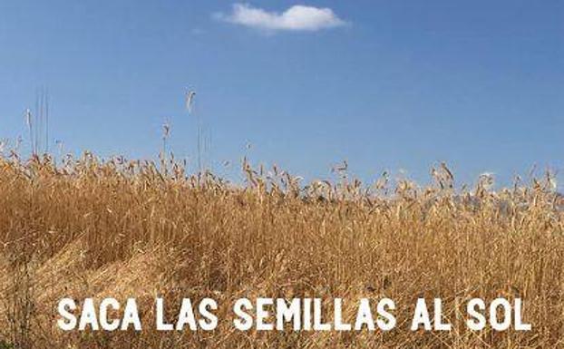 El sábado se inaugura la exposición 'Saca las semillas al sol' de María Jesús Manzanares