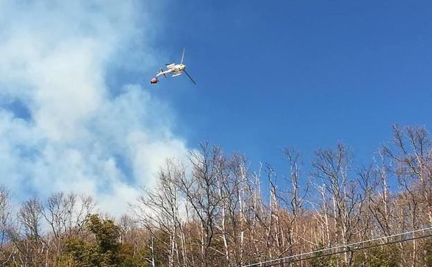 solteros de aldeanueva de santa cruz incendios forestales