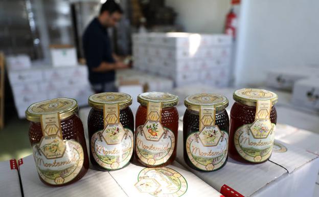Selección de diversos tipos de miel en la cooperativa Montemiel, de Fuenlabrada de los Montes, la más grande de la región