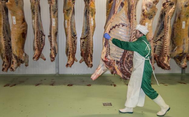 Una Empresa Irlandesa Toma El Control Del Matadero De Olivenza Hoy