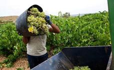 Un árbitro decidirá cómo se aplica la subida del salario mínimo a los trabajadores del campo
