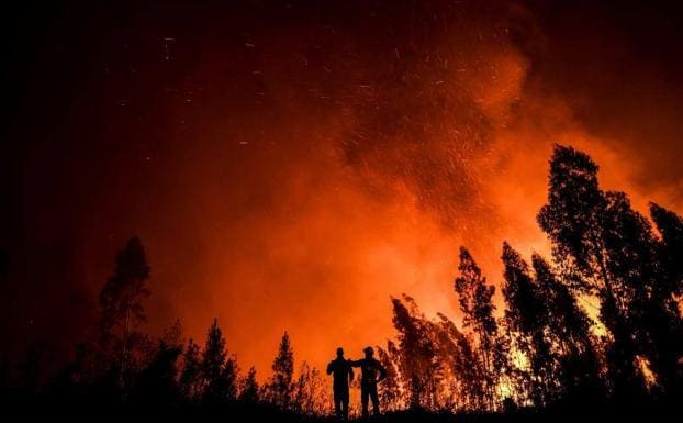 Resultado de imagen para incendios en portugal