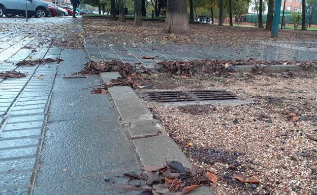 El otoño que nos ha tocado