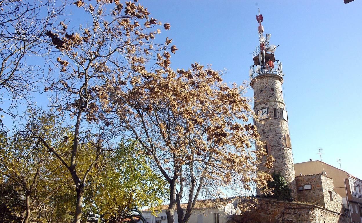 Obligan a retirar las antenas de la plaza de Italia de Cáceres | Hoy