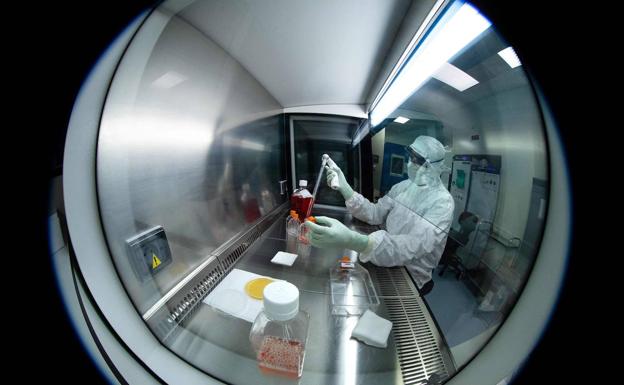 Estos son los municipios de Extremadura con casos este domingo