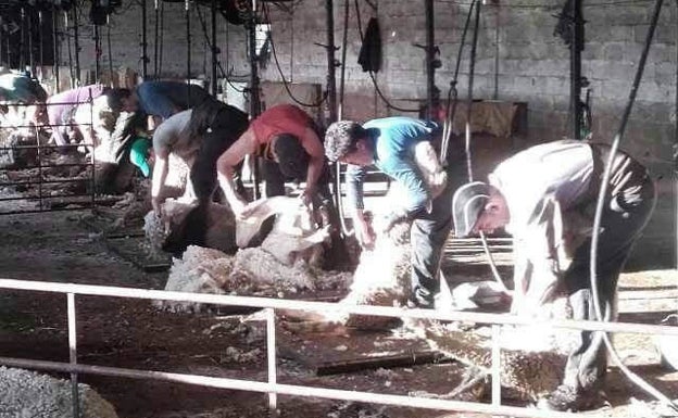 Los casos de la variante brasileña ascienden a 28 en Extremadura