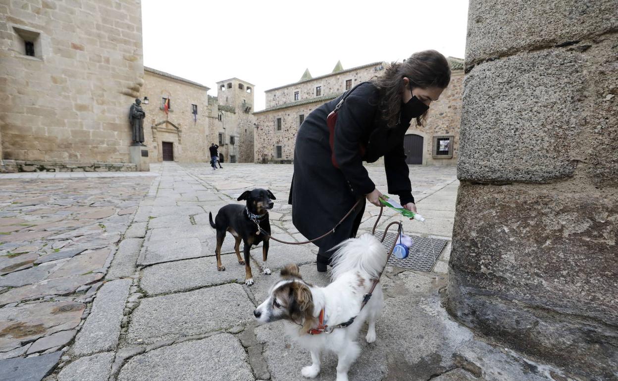 dilema Prohibición amargo La ordenanza que obliga a limpiar la orina de los perros entra en vigor  este martes en Cáceres | Hoy
