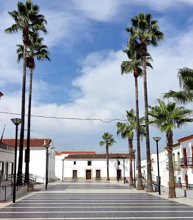 Bonita plaza con palmeras en Valverde de Leganés. / E. R.