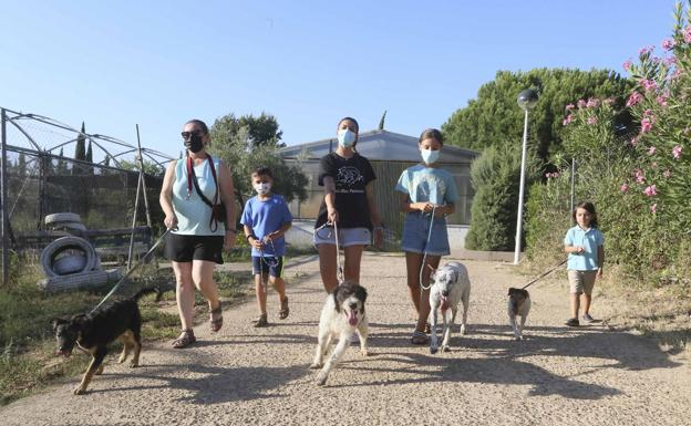 Algunos voluntarios de Batallón Perruno paseando perros en el centro zoosanitario de Mérida. /J. M. romero