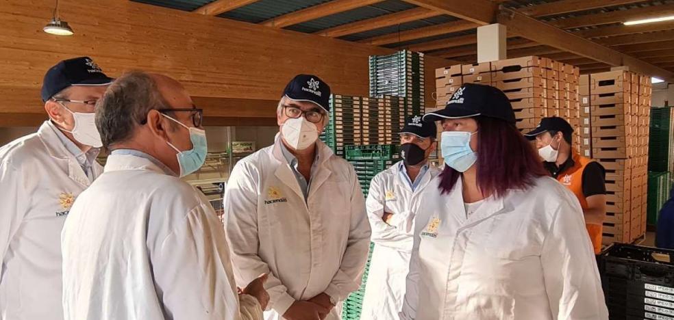 Agricultura destaca el crecimiento del sector ecológico de la región - Vimarsana News