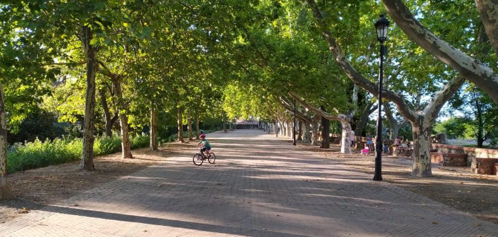 El parque se convierte en cine para atraer pacenses - Vimarsana News
