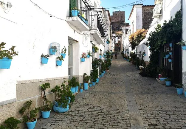 Los vecinos han pintado de azul todas las macetas de la calle Cadenas. / F. J. N.