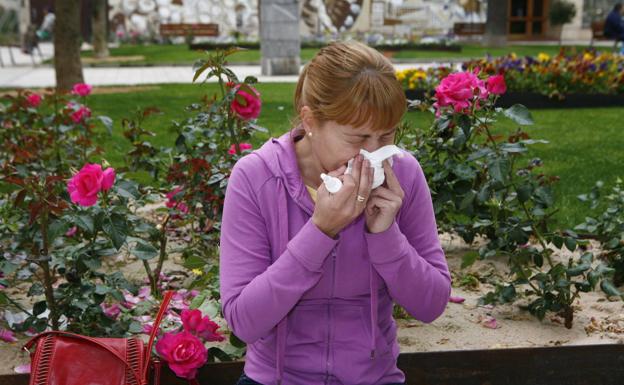 El polen se dispara en Extremadura: recomendaciones para alérgicos