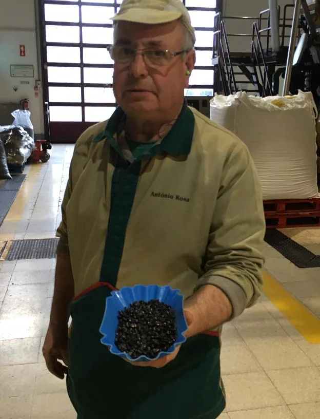 Un operador muestra los granos de café portugués tostados. 