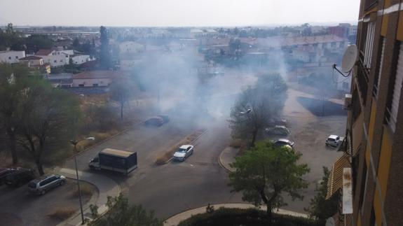 Los bomberos realizan varias salidas para atender incendios de pastos | Hoy
