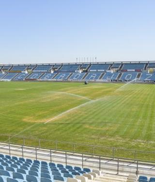 El césped del Nuevo Vivero está quemado | Hoy